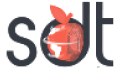 sdt